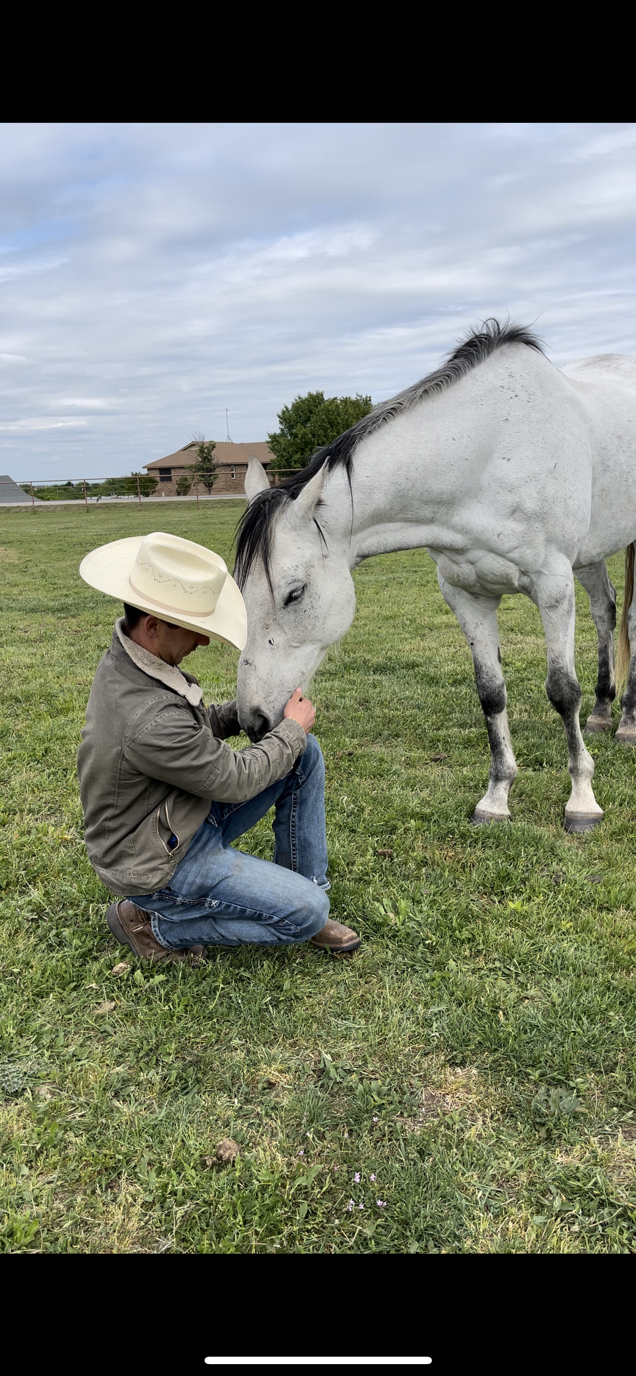 Lucky — rescued horse