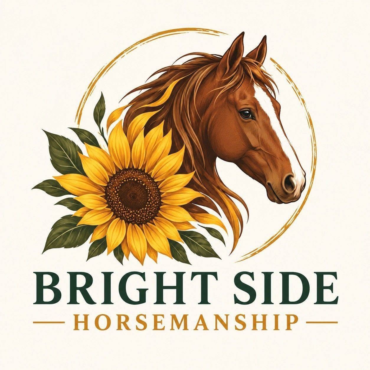 Bright Side Horsemanship